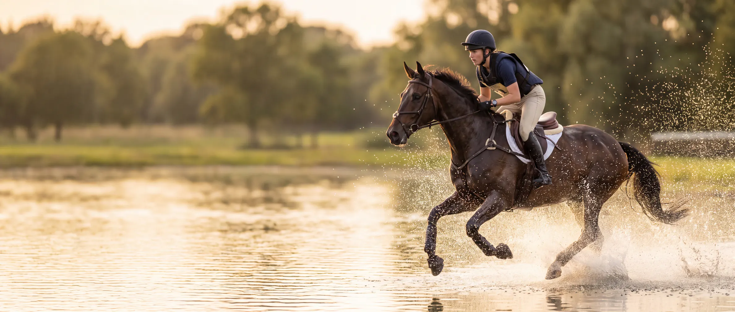 Reiter und Sportpferd im Galopp durch das Wasser eines Vielseitigkeitsparcours